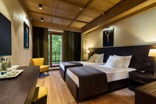 Отель Ana Hotels Bradul Poiana Brasov Пояна-Брашов Стандартный двухместный номер с 2 отдельными кроватями-1